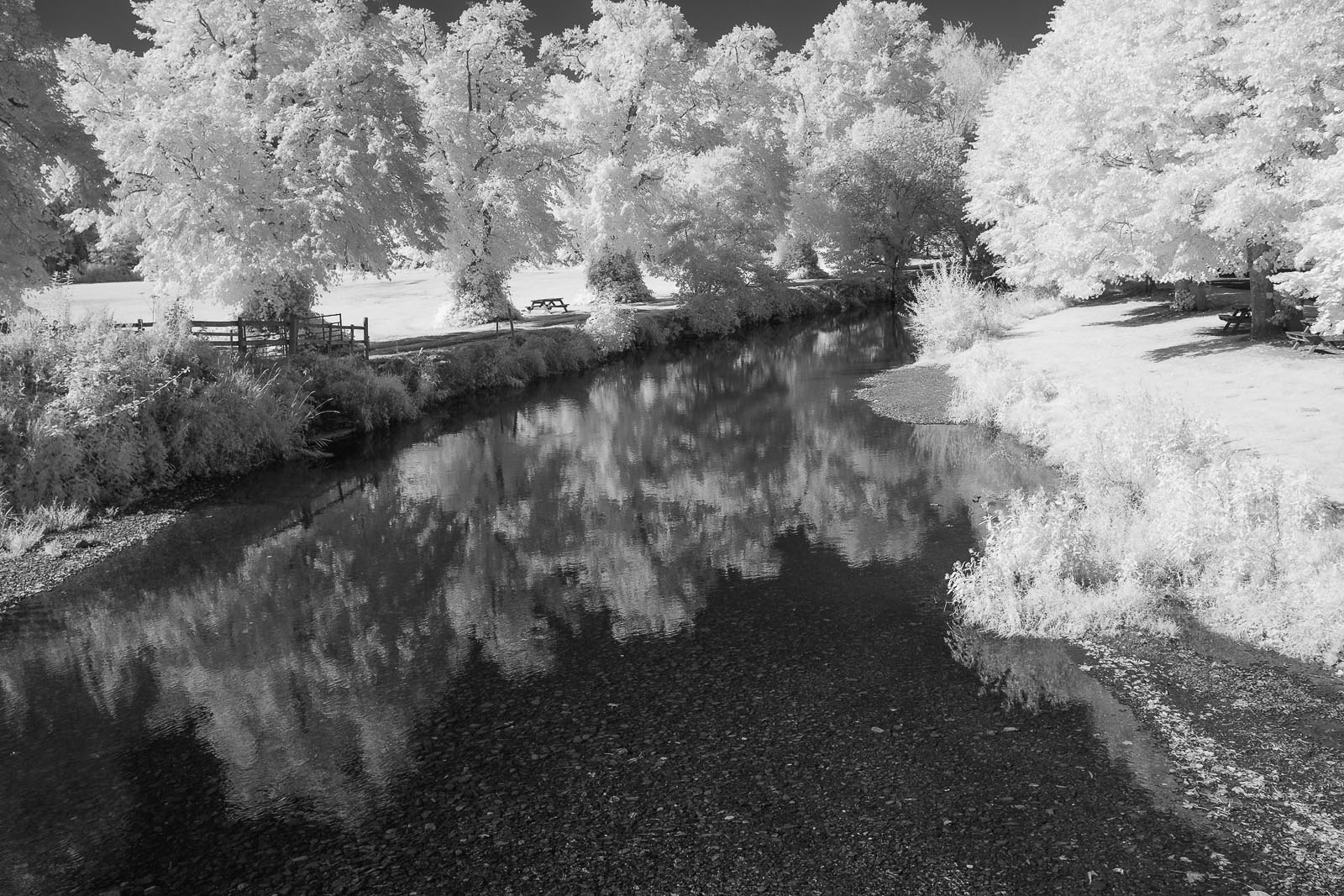 ELWY REFLECTIONS (002)