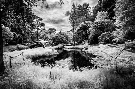 Bodnant_Pond