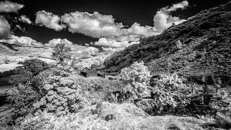 Old House Gelli_Iago