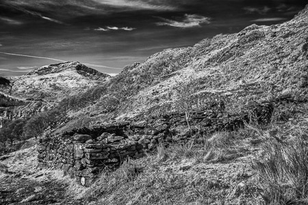 adfeiliedig yn y bryniau  (1 of 1)